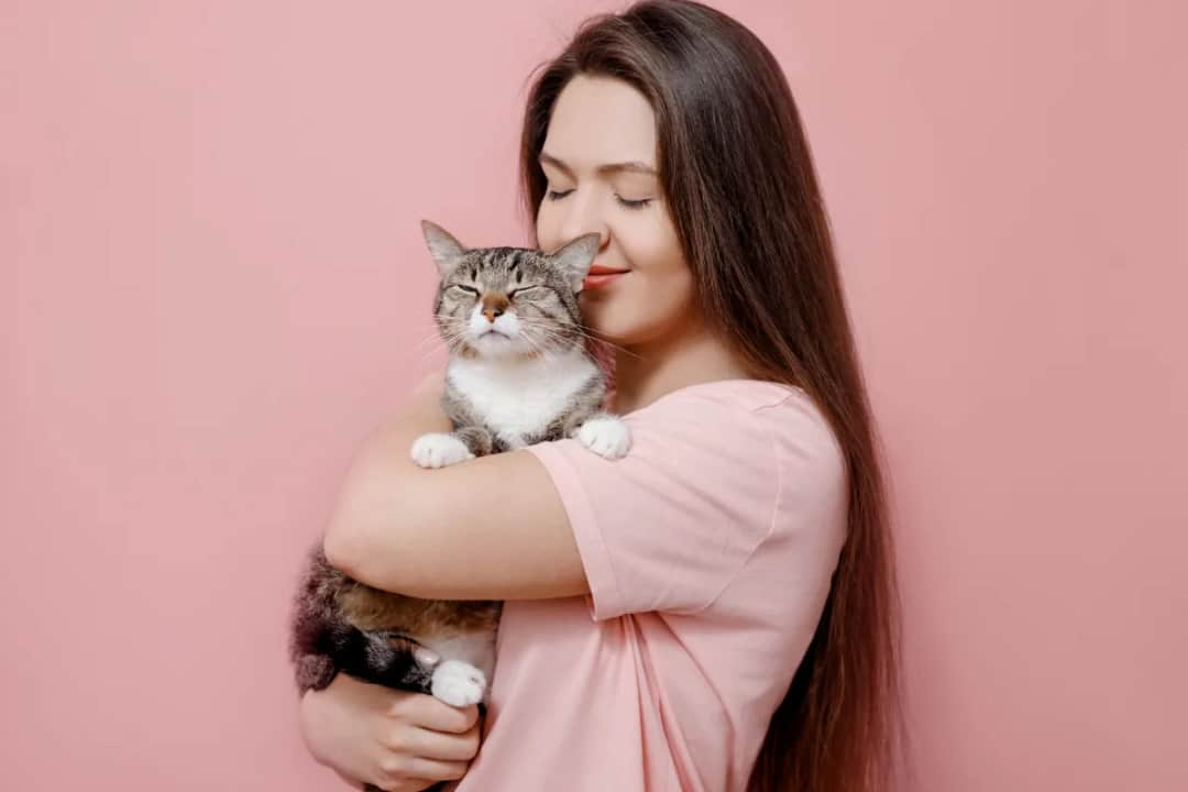 Czy koty wyczuwają depresję? Jak reagują na smutek opiekuna